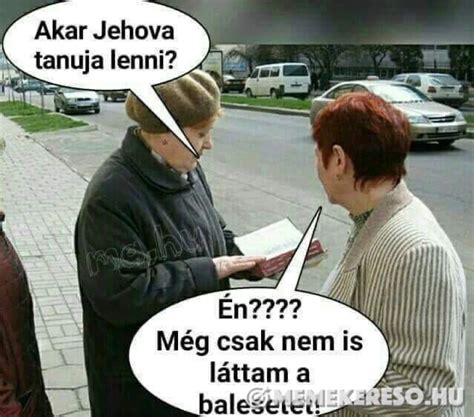 Meme kereső .